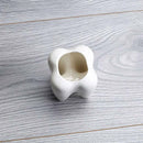 Tooth Shape Ceramic Flower Green Succulent Planter Cactus Decor Plant