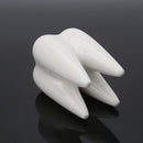 Tooth Shape Ceramic Flower Green Succulent Planter Cactus Decor Plant
