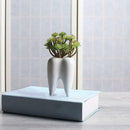 Tooth Shape Ceramic Flower Green Succulent Planter Cactus Decor Plant