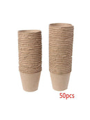 50X Plastic Flower Cup Round Multi-small Clivia Plants Succulents Holder
