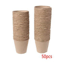 50X Plastic Flower Cup Round Multi-small Clivia Plants Succulents Holder
