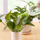 4 Pieces  Water Bottle Nozzle Spraying Head Watering Plants Sprinkler