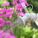2 Pc Waterers Plastic Shower Watering Head Office Cans Sprinkler Tool Garden