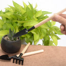 3pcs/set Mini Gardening Tools Wood Handle Steel Potted Plants Shovel Rake Spade