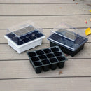 12-Holes Seed Planting Box with Cover Nursery Pots Plant  Garden Seed Starter