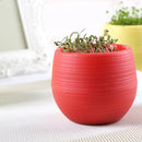 5x Cute Mini Plastic Flower Succulent Plant Flowerpot For Home Office Decor