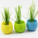 5Pcs Mini Plastic Flower Succulent Plant Flowerpot for Home Office Newest Useful