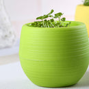 5x Cute Mini Plastic Flower Succulent Plant Flowerpot For Home Office Decor