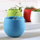 5x Cute Mini Plastic Flower Succulent Plant Flowerpot For Home Office Decor