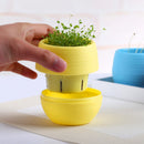 5Pcs Colourful Mini Round Plastic Plant Flower Garden Home Decor Planter
