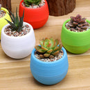 5 x Plastic Mini Flower Seedling Planter Succulent Holder Home Office Garden