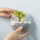 2x Semicircular Wall Hanging Glass Flower Vase Plant White Container Hot