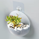 2 Pcs Semicircular Wall Hanging Planter Hydroponic Vase Micro Landscape Bottle