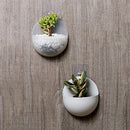 2x Semicircular Wall Hanging Glass Flower Vase Plant White Container Hot