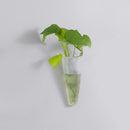 2 Pcs  Wall Mounted Hanging Glass Flower Vase Plant White Container Long Vase