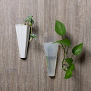 2 Pcs  Wall Mounted Hanging Glass Flower Vase Plant White Container Long Vase