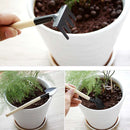 2 Pack Mini Garden Hand Tools Set Shovel Spade Rake Trowel Wood Handle