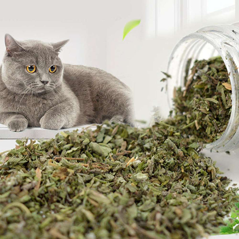 45ml Cat Mint Powder Natural Catnip Nepeta Cataria Appetizing Exciting Cat Snack