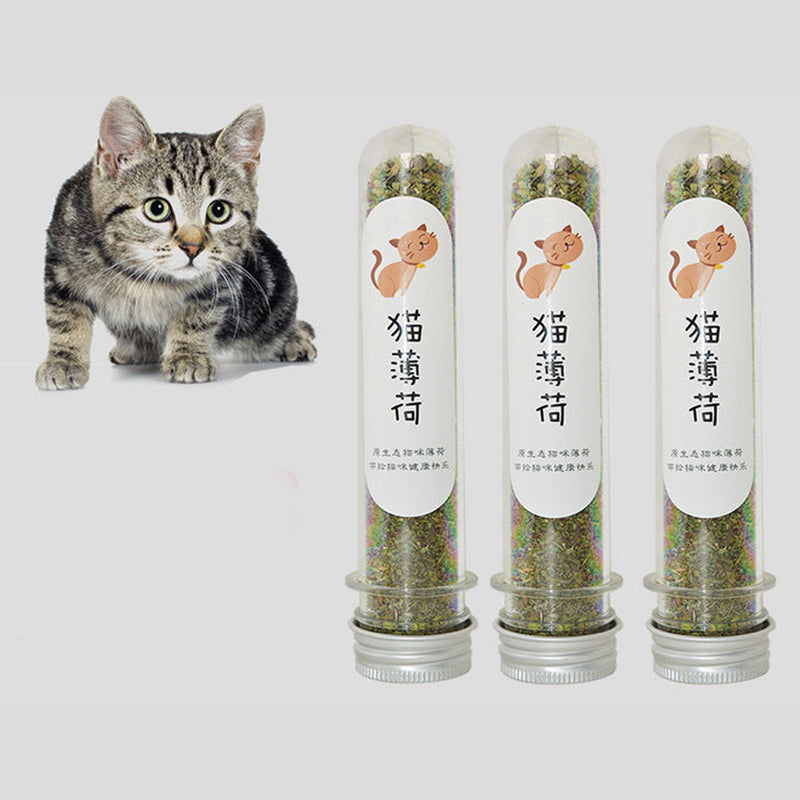 Cats Catnip Dried Bottle 45 ml Fresh Organic Catmint Appetizing Cat Snacks