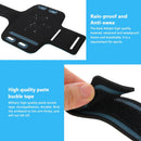 HAWEEL Sport Armband Case with Earphone Hole & Key Pocket, For iPhone XS, iPhone XS Max, iPhone X, iPhone 8 Plus & 7 Plus, iPhone 6 Plus, Galaxy S9+ / S8+ / S6 / S5(Baby Blue)