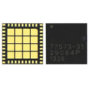 Power Amplifier IC 77573-31