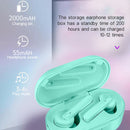 DT-5 IPX Waterproof Bluetooth 5.0 Wireless Bluetooth Earphone with Magnetic Charging Box, Support Call & Power Bank Function(Green)