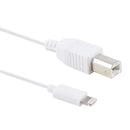 1m 8 Pin to Type-B Male Piano / Electronic Piano Cable MIDI Cable Adapter, for iPhone X, iPhone 8 Plus & 7 Plus, iPhone 8 & 7, iPhone 6 Plus & 6s Plus, iPhone 6 & 6s, iPad, Support iOS 11.4 System(White)