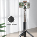 WK WT-P12 Folding Integrated Remote Control Live Broadcast Tripod Bluetooth Selfie Stick (Black)