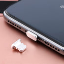 Universal 8 Pin Charging Port Metal Anti-Dust Plug for iPhone(Space Silver)