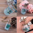 Women's Glass Necklace Wishing Drift Bottle Pendants Statement Jewelry