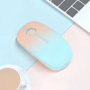 FOETOR i330-Colorful Wireless Mouse(Pink Green)