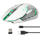 ZERODATE X70 2.4GHz Wireless 6-Keys 2400 DPI Adjustable Ergonomics Optical Gaming Mouse with Breathing Light(White)