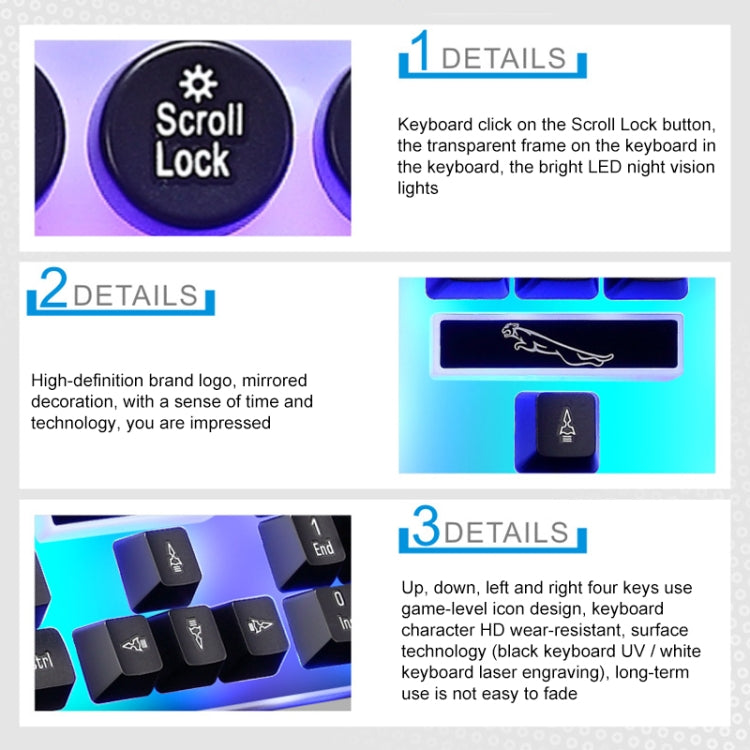 Chasing Leopard G21 USB 104-keys Waterproof Floating Round Punk Keycap Colorful Backlight Mechanical Feel Wired Keyboard, Length: 1.3m(Black)