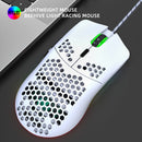 HXSJ J900 6 Keys RGB Lighting Programmable Gaming Wired Mouse (White)