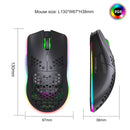 HXSJ T66 7 Keys Colorful Lighting Programmable Gaming Wireless Mouse (Black)