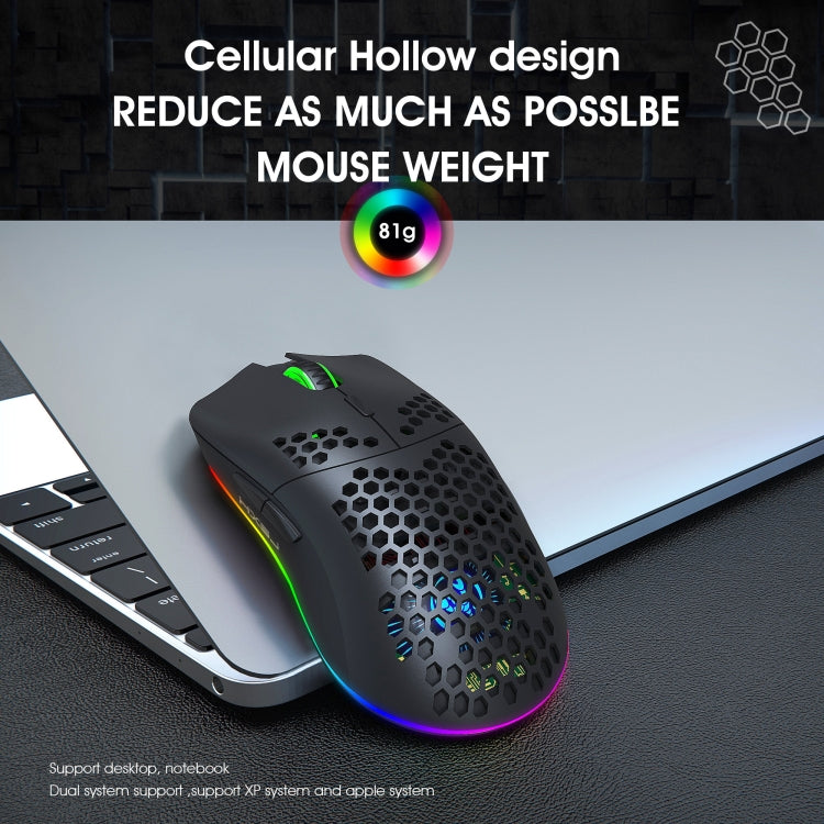 HXSJ T66 7 Keys Colorful Lighting Programmable Gaming Wireless Mouse (Black)
