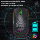 HXSJ T66 7 Keys Colorful Lighting Programmable Gaming Wireless Mouse (Black)
