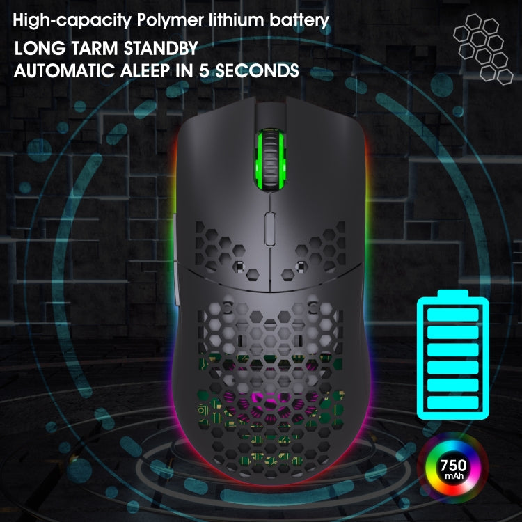 HXSJ T66 7 Keys Colorful Lighting Programmable Gaming Wireless Mouse (Black)