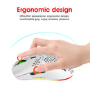 HXSJ T66 7 Keys Colorful Lighting Programmable Gaming Wireless Mouse (White)