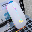 YINDIAO A2 2.4GHz 1600DPI 3-modes Adjustable RGB Light Rechargeable Wireless Silent Mouse (White)