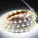 1m Casing LED Light Strip, 60 LED/m, 60 LEDs SMD 5050 IP65 Waterproof with Power Plug, AC 220V(White Light)