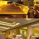 1m Casing LED Light Strip, 60 LED/m, 60 LEDs SMD 5050 IP65 Waterproof with Power Plug, AC 220V(Warm White)
