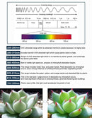 5m SMD 5050 3:1 Red + Blue LED Plant Grows Lamp, 300 LEDs Aquarium Greenhouse Hydroponic Bare Board Rope Light, 60 LEDs/m, DC 12V