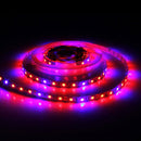 5m SMD 5050 3:1 Red + Blue LED Plant Grows Lamp, 300 LEDs Aquarium Greenhouse Hydroponic Bare Board Rope Light, 60 LEDs/m, DC 12V