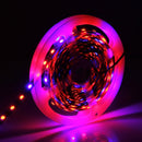 5m SMD 5050 3:1 Red + Blue LED Plant Grows Lamp, 300 LEDs Aquarium Greenhouse Hydroponic Bare Board Rope Light, 60 LEDs/m, DC 12V