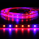 5m SMD 5050 3:1 Red + Blue LED Plant Grows Lamp, 300 LEDs Aquarium Greenhouse Hydroponic Bare Board Rope Light, 60 LEDs/m, DC 12V