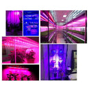 5m SMD 5050 4:1 Red + Blue LED Plant Grows Lamp, 300 LEDs Aquarium Greenhouse Hydroponic Bare Board Rope Light, 60 LEDs/m, DC 12V