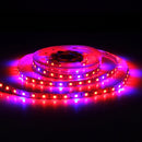 5m SMD 5050 4:1 Red + Blue LED Plant Grows Lamp, 300 LEDs Aquarium Greenhouse Hydroponic Bare Board Rope Light, 60 LEDs/m, DC 12V