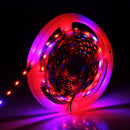 5m SMD 5050 4:1 Red + Blue LED Plant Grows Lamp, 300 LEDs Aquarium Greenhouse Hydroponic Bare Board Rope Light, 60 LEDs/m, DC 12V