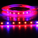 5m SMD 5050 4:1 Red + Blue LED Plant Grows Lamp, 300 LEDs Aquarium Greenhouse Hydroponic Bare Board Rope Light, 60 LEDs/m, DC 12V